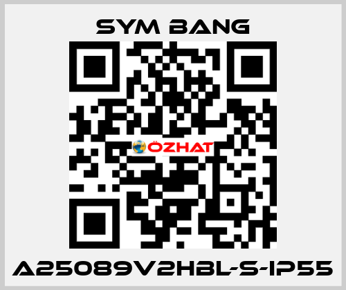 A25089V2HBL-S-IP55 SYM BANG