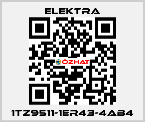 1TZ9511-1ER43-4AB4 ELEKTRA