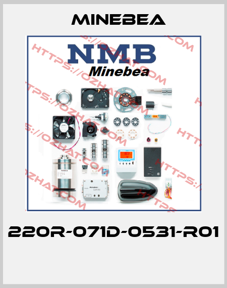 220R-071D-0531-R01  Minebea