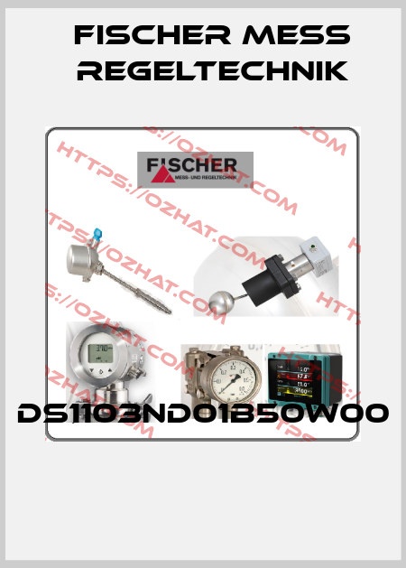 DS1103ND01B50W00  Fischer Mess Regeltechnik