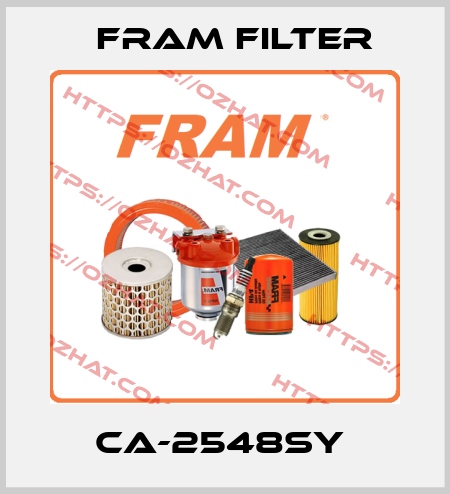 CA-2548SY  FRAM filter