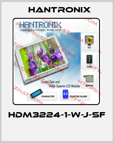 HDM3224-1-W-J-SF  Hantronix