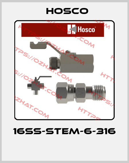 16SS-STEM-6-316  Hosco