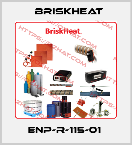 ENP-R-115-01  BriskHeat
