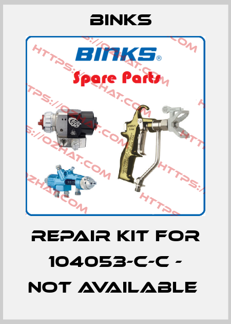 Repair kit for 104053-C-C - not available  Binks