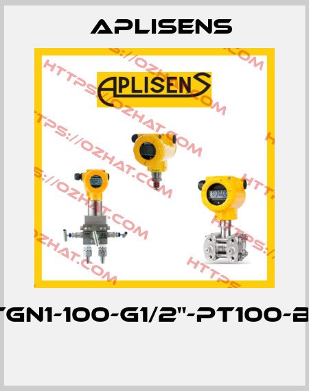 CTGN1-100-G1/2"-Pt100-B-2  Aplisens