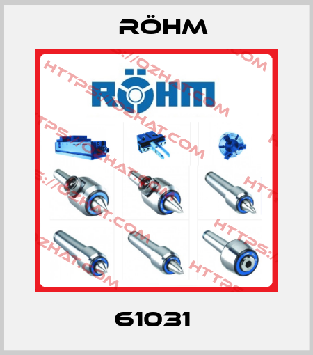 61031  Röhm