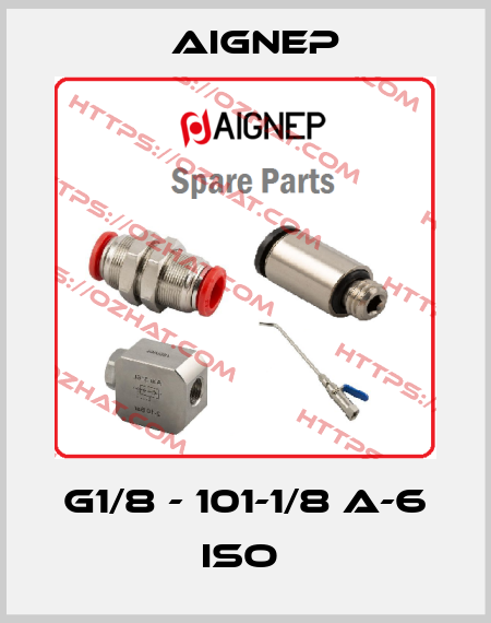  G1/8 - 101-1/8 A-6 ISO  Aignep