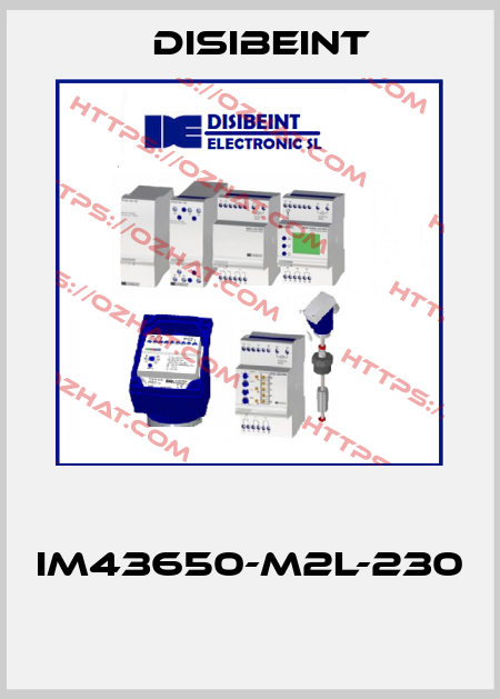  IM43650-M2L-230  Disibeint