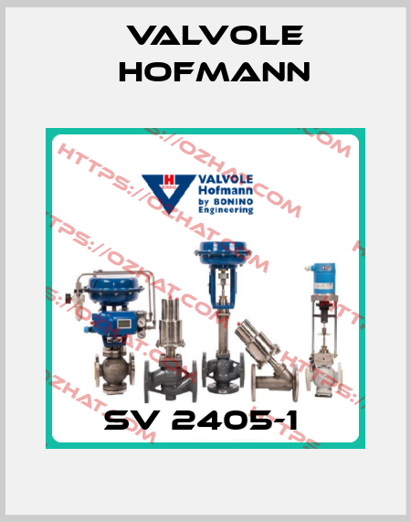 SV 2405-1  Valvole Hofmann