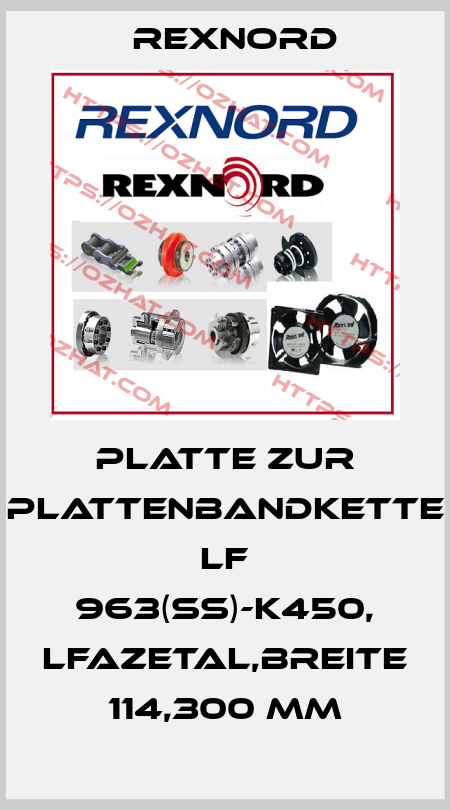 Platte zur Plattenbandkette LF 963(SS)-K450, LFAzetal,Breite 114,300 mm Rexnord