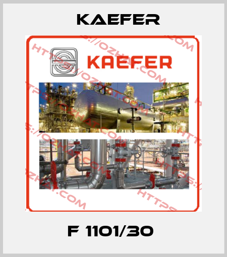 F 1101/30  Kaefer