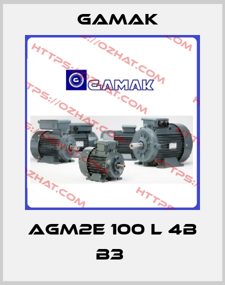 AGM2E 100 L 4B B3  Gamak