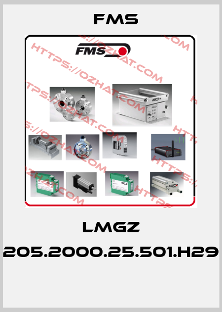 LMGZ 205.2000.25.501.H29  Fms