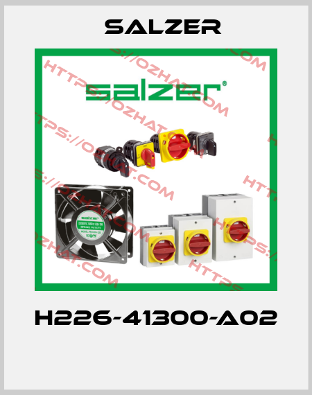 H226-41300-A02  Salzer