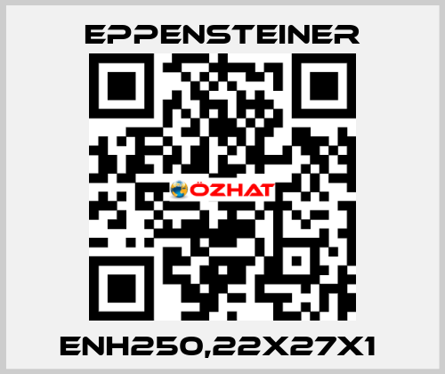 ENH250,22X27X1  Eppensteiner