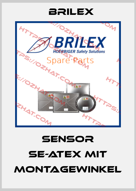 Sensor SE-ATEX mit Montagewinkel Brilex