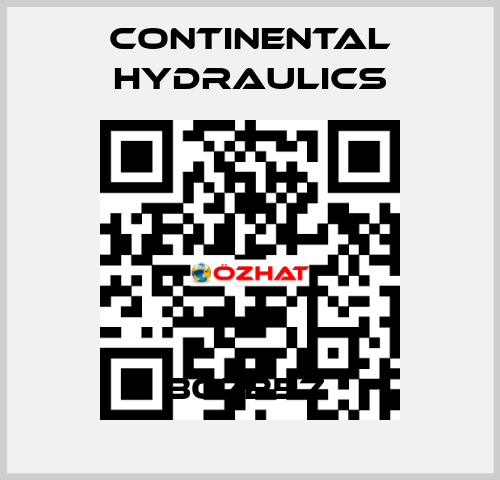 307257  Continental Hydraulics