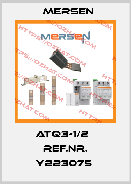ATQ3-1/2   Ref.Nr. Y223075  Mersen