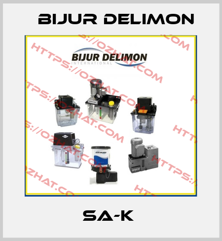 SA-K  Bijur Delimon