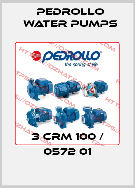 3 CRm 100 / 0572 01 Pedrollo Water Pumps