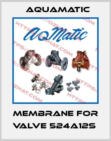 membrane for valve 524a12s  AquaMatic