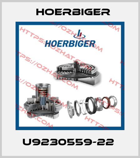 U9230559-22  Hoerbiger