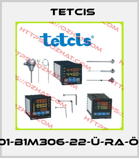 TR01-B1M306-22-Ü-RA-Ö-TK Tetcis