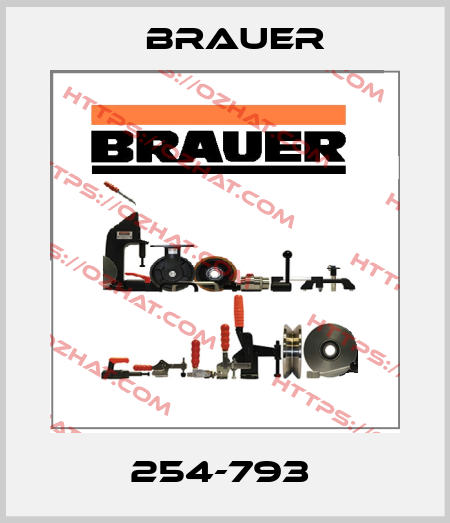 254-793  Brauer