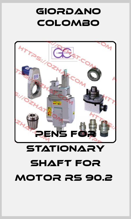 Pens for stationary shaft for motor RS 90.2  GIORDANO COLOMBO