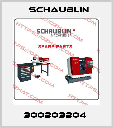 300203204  Schaublin
