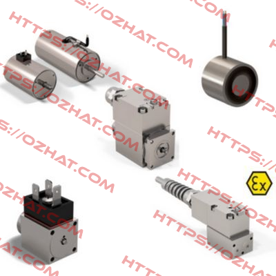EX 01 24 V DC  Schienle