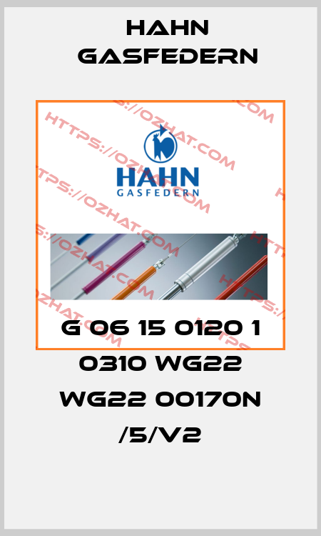 G 06 15 0120 1 0310 WG22 WG22 00170N /5/V2 Hahn Gasfedern
