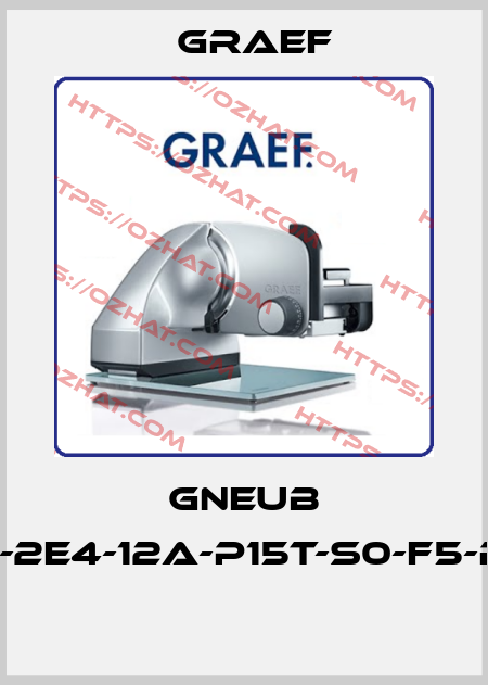 GNEUB DAI-2E4-12A-P15T-S0-F5-R-W  Graef
