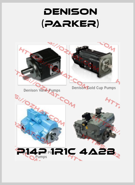 P14P 1R1C 4A2B  Denison (Parker)