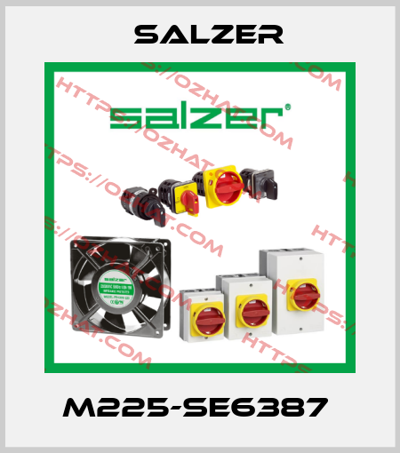 M225-SE6387  Salzer