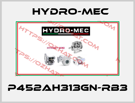 P452AH313GN-RB3 Hydro-Mec
