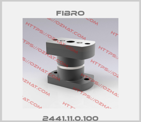 2441.11.0.100 Fibro