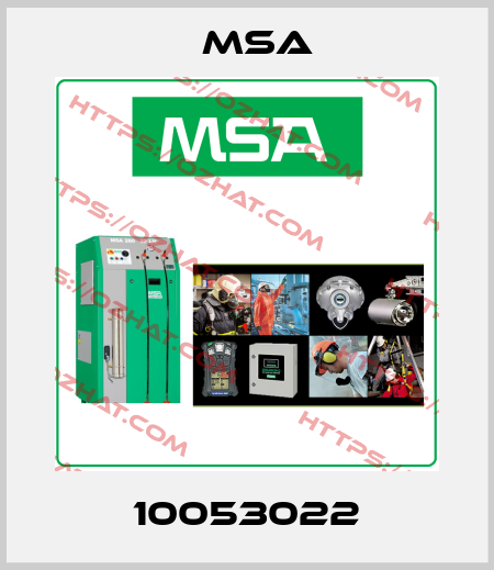 10053022 Msa