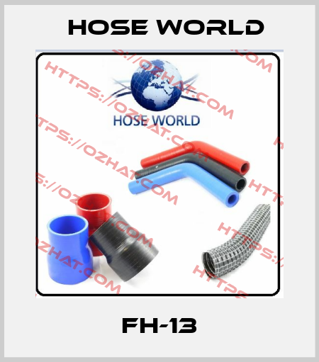 FH-13 HOSE WORLD