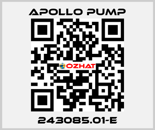 243085.01-E Apollo pump
