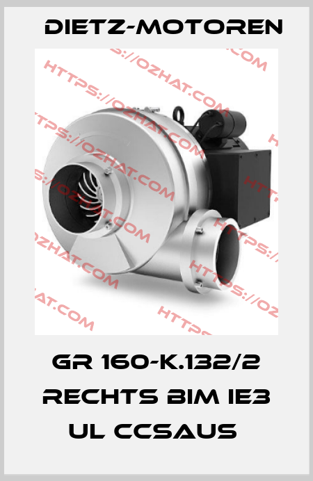 GR 160-K.132/2 RECHTS BIM IE3 UL CCSAUS  Dietz-Motoren