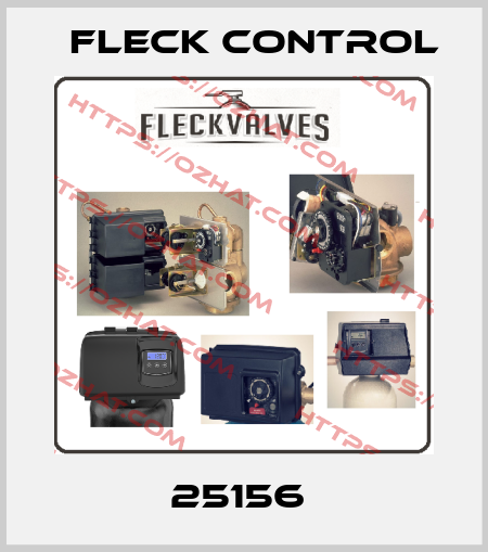 25156  Fleck Control