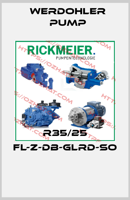 R35/25 FL-Z-DB-GLRD-SO  Werdohler Pump