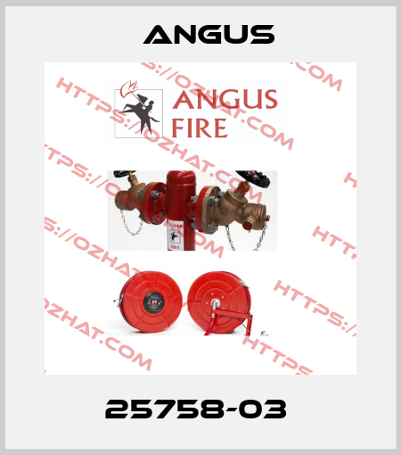 25758-03  Angus