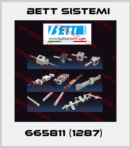 665811 (1287)  BETT SISTEMI