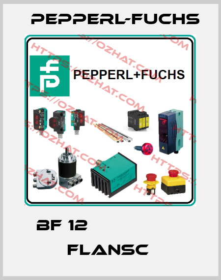 BF 12                   Flansc  Pepperl-Fuchs