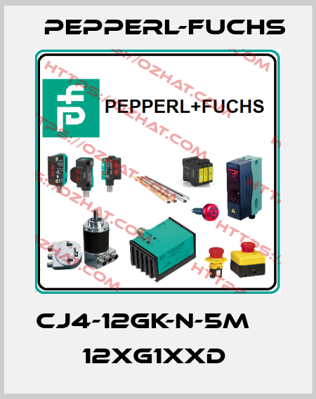 CJ4-12GK-N-5M         12xG1xxD  Pepperl-Fuchs