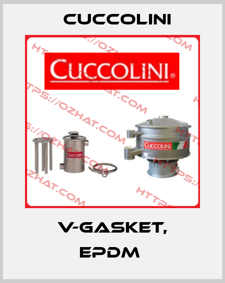 V-gasket, EPDM  Cuccolini