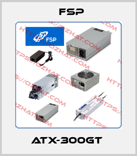 ATX-300GT  Fsp